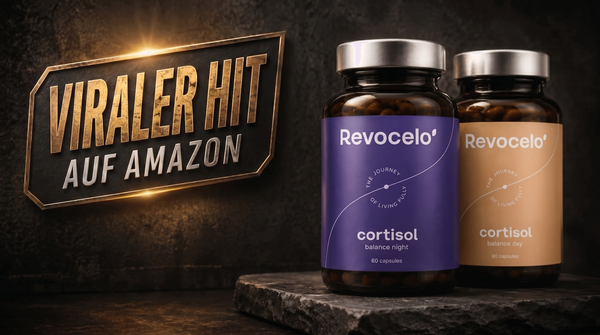 Cortisol Balance Day & Night ( Cortisol Man Landing )
