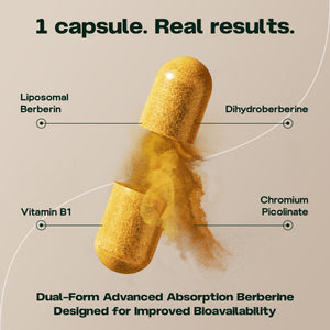 Liposomal Berberine Support