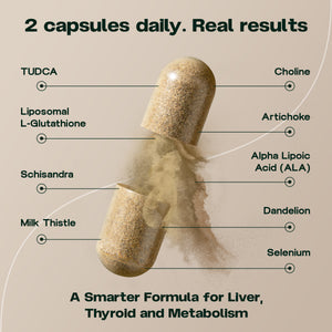 Liver & Thyroid Sync