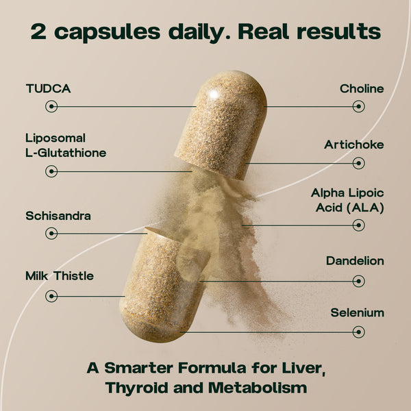 Liver & Thyroid Sync