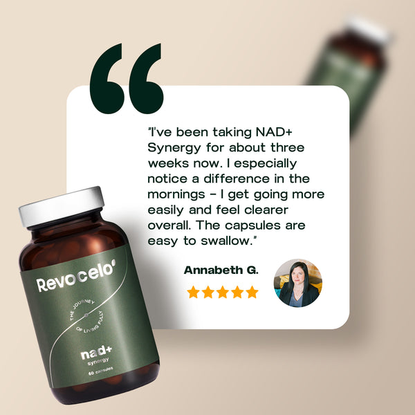 NAD+ Synergy