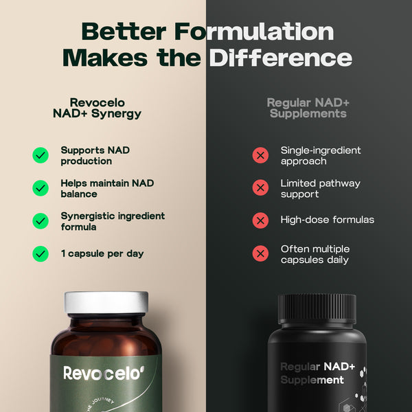 NAD+ Synergy